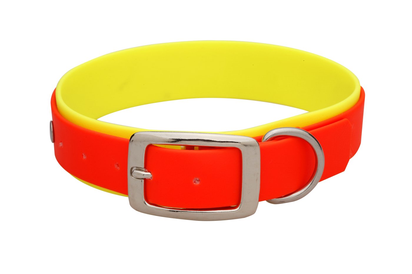 Halsband Signalfarben