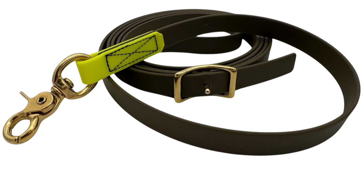 Leine Limited Edition Biothane® - verstellbar mit Conway Schnalle Messing