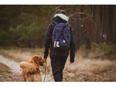 Beutelspender Beispiel