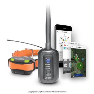 collier dogtra pathfinder