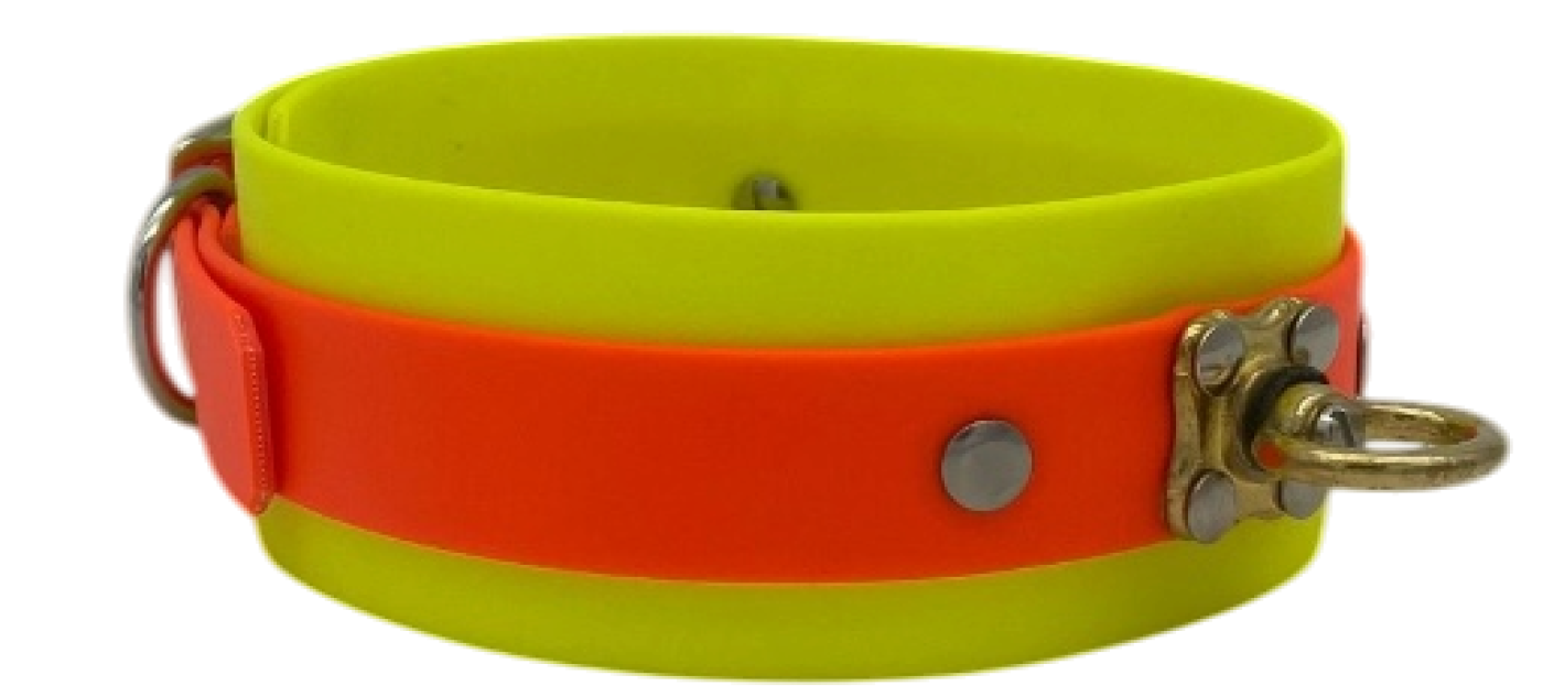 Preview: 5 cm Schweißhalsung Biothane® mit Wirbel