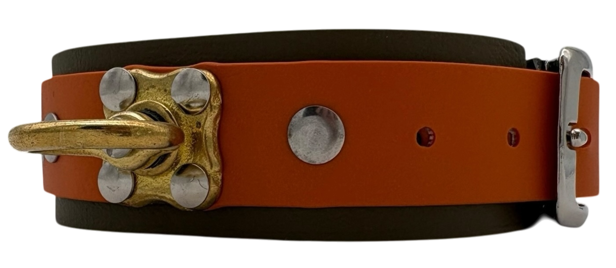 5 cm Schweißhalsung Biothane® mit Wirbel