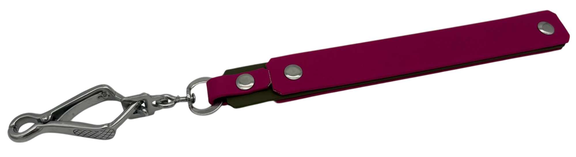 Bringsel aus Biothane® (Halsbandverweiser, Bringselverweiser)