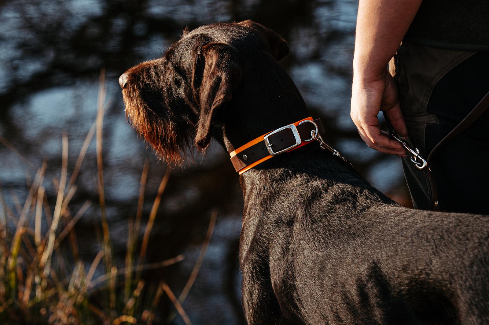 senior hundefutter trocken LandFleisch Dog Trocken Senior Geflügel mit Reis